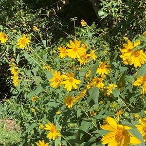 Meet your Posher, Marla